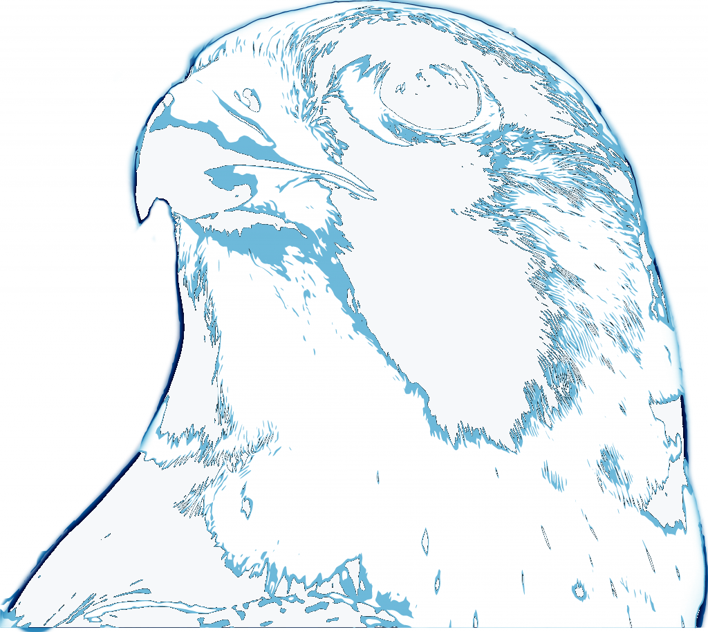 RevOps Data falcon logo