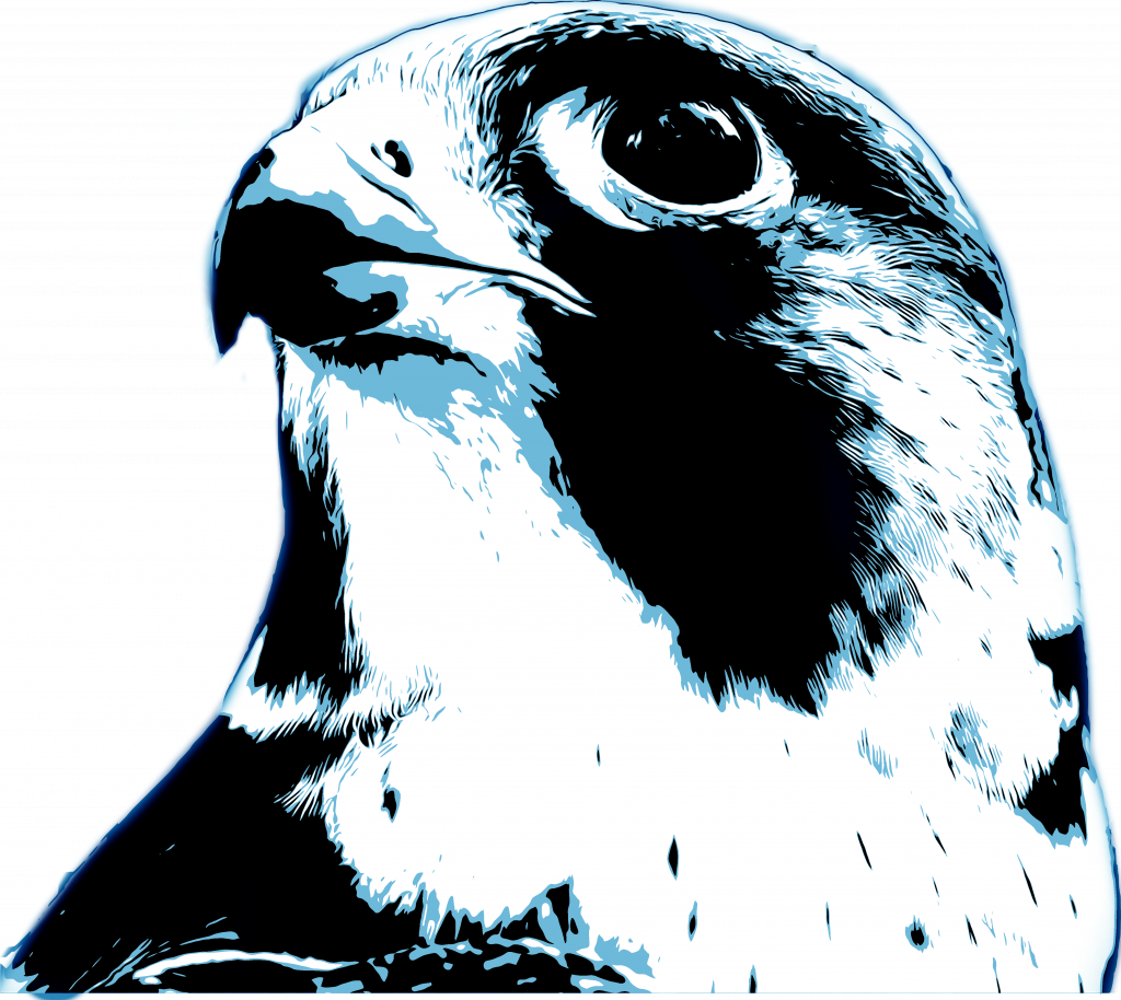 RevOps Data falcon logo